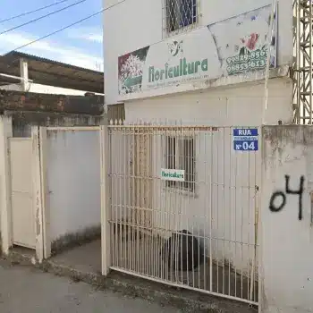 floricultura aberta agora cariacica