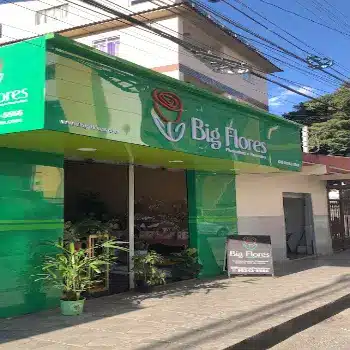 floricultura big flores