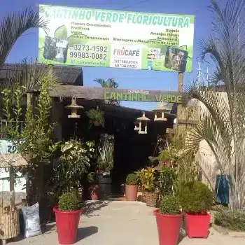 floricultura cantinho verde