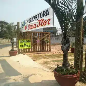 floricultura casa flor