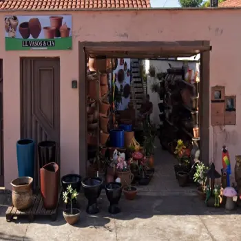 floricultura em araguaina ll vasos e cia