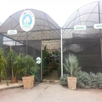 floricultura imagen e flora