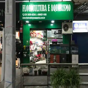 floricultura m e j