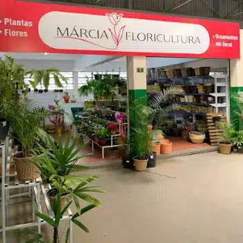floricultura marcia entrega rapida