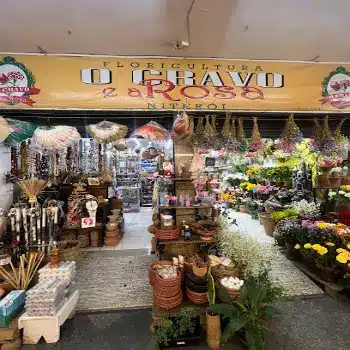 floricultura o cravo e a rosa