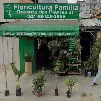 floricultura recanto das plantas jf