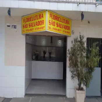 floricultura sao salvador
