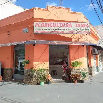 floricultura taina