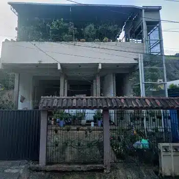 floricultura trevo das orquideas