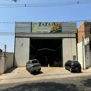 floricultura zaza flores e plantas