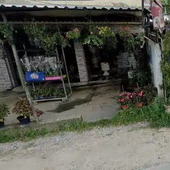 florista andreia duque de caxias