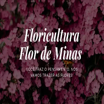 florista flor de minas