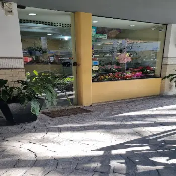 florista helinho flores campos