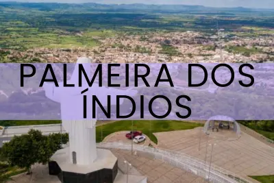 florista online palmeira dos indios al