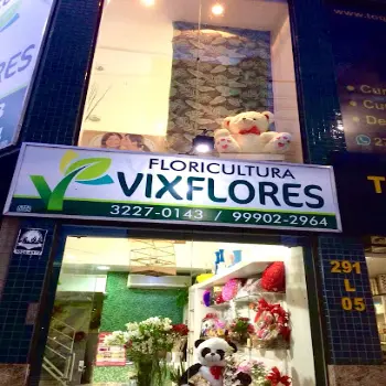florista vixflores