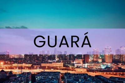floristas online guara df