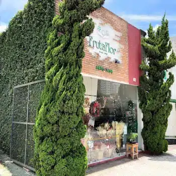 frutaflor floricultura online santo andre sp