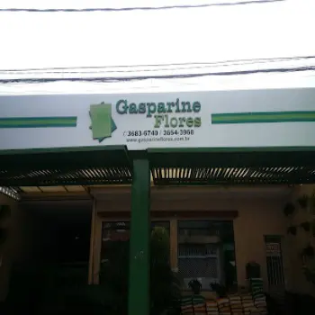 gasparine flores