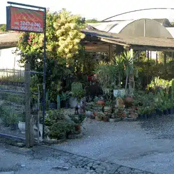 la bella rosa florista em sao jose