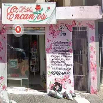 lilika encanto telefono floricultura osasco sp