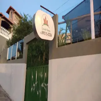 loja de flores canada plantas