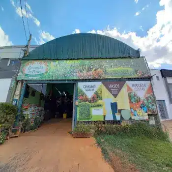 loja de flores encanto das flores viveiro