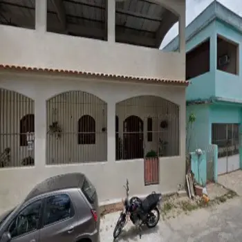 loja de flores flor de maio