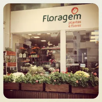 loja de flores floragem