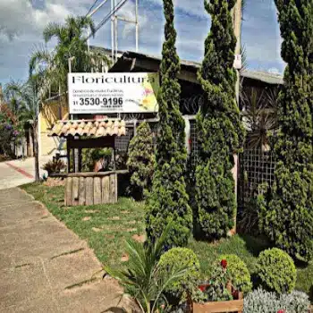 loja de flores matriz