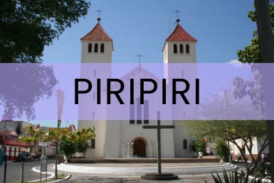 lojas flores online piripiri pi