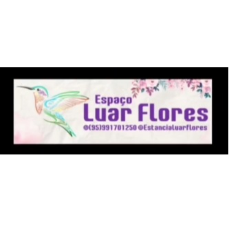 luar flores melhor floricultura rorainopolis rr