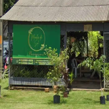 manha de sol floricultura online ariquemes ro