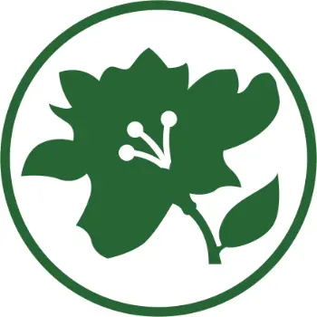 mercado flores online campinas