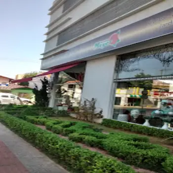 meyer floricultura online itajai sc