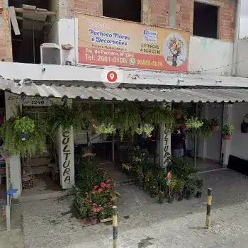 pacheco flores e decoracoes
