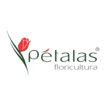 petalas floricultura aberta agora uberlandia