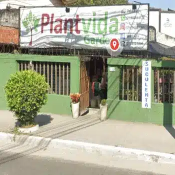 plantvida floricultura aberta agora sao goncalo rj