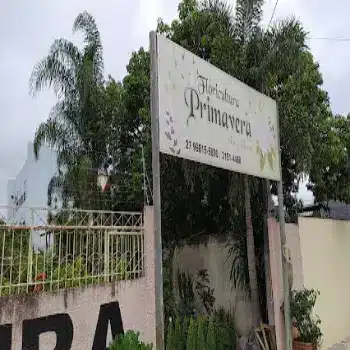 primavera floricultura aberta agora linhares es