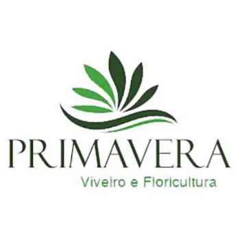 primavera floricultura online em parauapebas pa