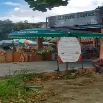 rayssa flores floricultura online nova iguacu