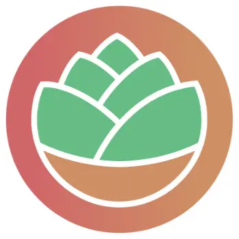 suculentas da pri floricultura online 24 horas itajai