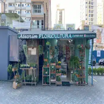 telefone floricultura alecrim sao jose