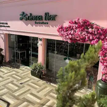 telefone floricultura dona flor