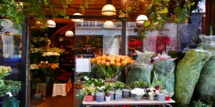 telefone floricultura flores artificiais para sala de estar