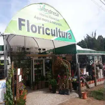 telefone floricultura vandressa florianopolis