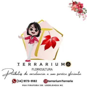 telefono floricultura terrarium uberlandia