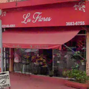 telefono lu flores
