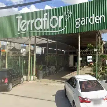 terraflor floricultura 24 horas vila velha