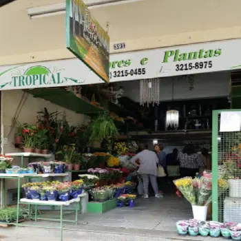 tropical floricultura online jf