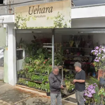uehara floricultura aberta agora em guarulhos sp